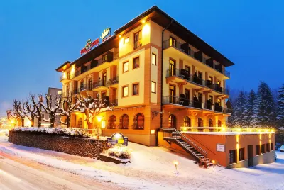 Euro Youth Hotel & Krone Отели рядом с достопримечательностью «Gasteiner Heilstollen»