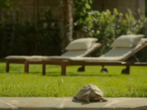 เรอเลลากอร์เต ดิ คลอริส โรงแรมในฟลอเรนซ์