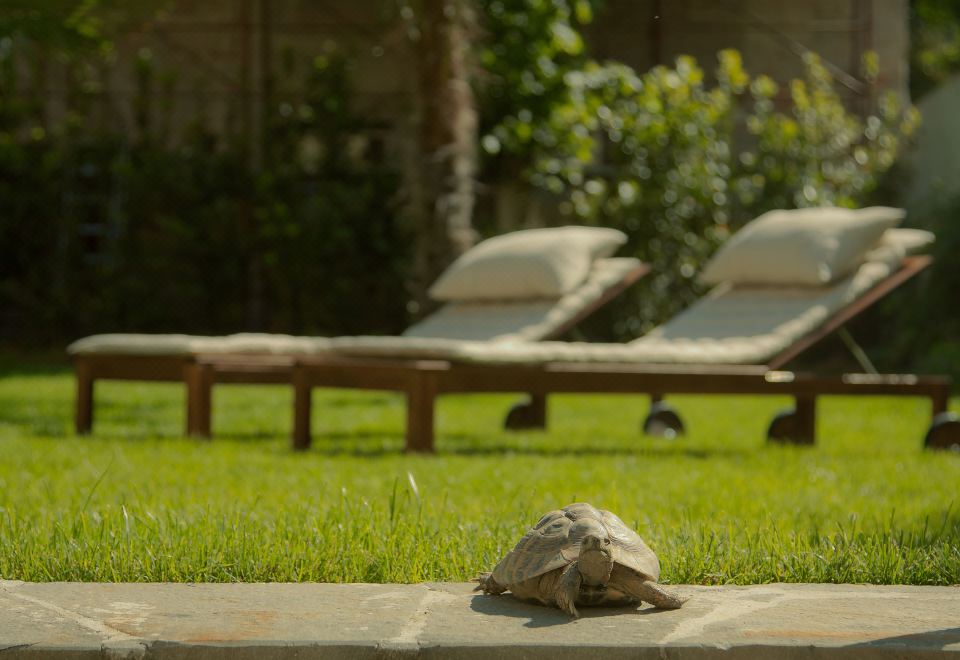 3. 를레 라 코르테..