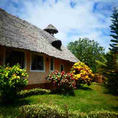 Diani Backpackers - Adults Only Hotel Exterior