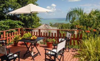 Charming Villa on the Island of Rodrigues, With Garden and Ocean Views