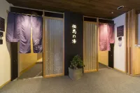 Dormy Inn Premium Tokyo Kodenmacho Hot Spring - Boutique