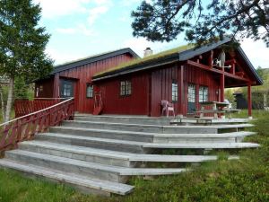 Furulie Cabin - Flå