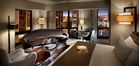 تومسون تشيكاجو، باي حيات