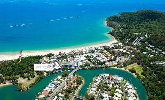 Jacaranda Noosa