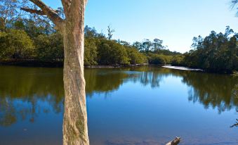 Jervis Bay Cabins & Hidden Creek Campsite