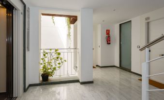 Apartamento la Sorpresa del Genovés
