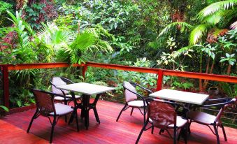 Daintree Rainforest Retreat Motel