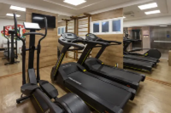 고 인 비토리아