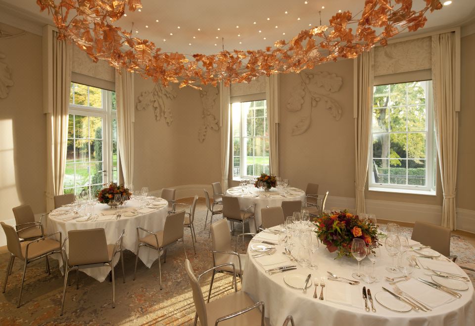 Cozee Monkey Over view