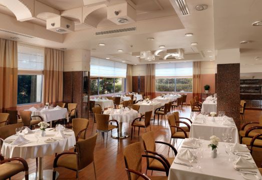 Holiday Inn Athens Attica Av Airport W. Over view