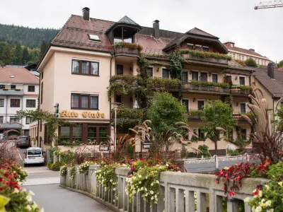 Hotel Restaurant Alte Linde Hotels near Eyach- und Rotenbachtal