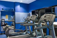 温尼伯南部福朋喜來登酒店 - 健身室/gym room