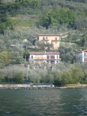 Villa Olivo