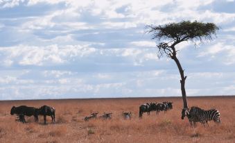 Fairmont Mara Safari Club