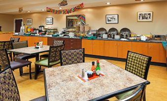 Holiday Inn & Suites Rochester - Marketplace