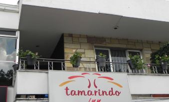 Tamarindo Inn