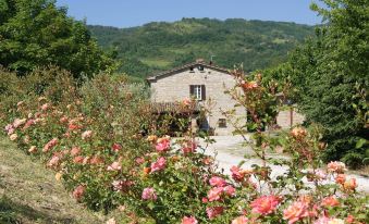 Agriturismo Corte Dei Mori