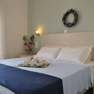 Hotel Helios Splendid ホテル メソギ・ビーチ周辺のホテル