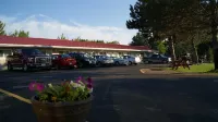 Blue Jay Motel - parking