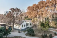 Handan Hotel (Congtai Park Handan Railway Station Branch) Hotels near Handan University