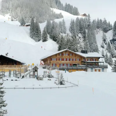 Alpinhotel Bort Hotels near Bärgelegg
