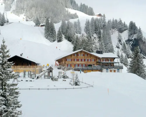 Alpinhotel Bort Hotels near Hohwald