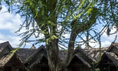 Arusha Serena Hotel
