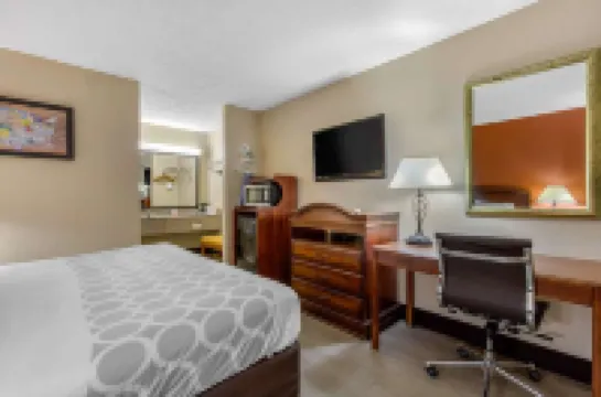 Auburn Lodge Near University