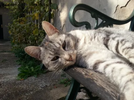 Lindenhof Peritz Отели рядом с достопримечательностью «Кляйне Лаузитц - Эрлебнис-Миниатуренпарк-Эльстерверда»