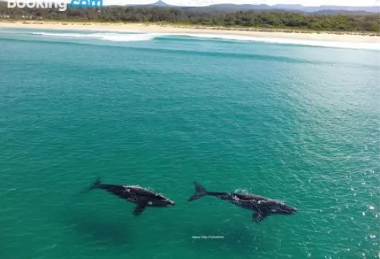 博樂湖避風港度假酒店