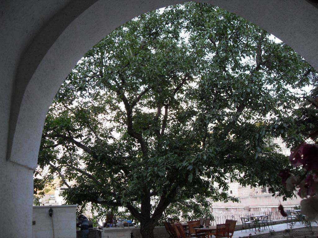 El Puente Cave Hotel