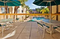 La Quinta Inn & Suites by Wyndham St. Pete-Clearwater Airpt - Pool
