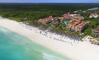 5. Palmaïa ..