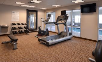 a well - equipped gym with various exercise equipment , including a treadmill and weights , in a spacious room at Holiday Inn Express & Suites Williams