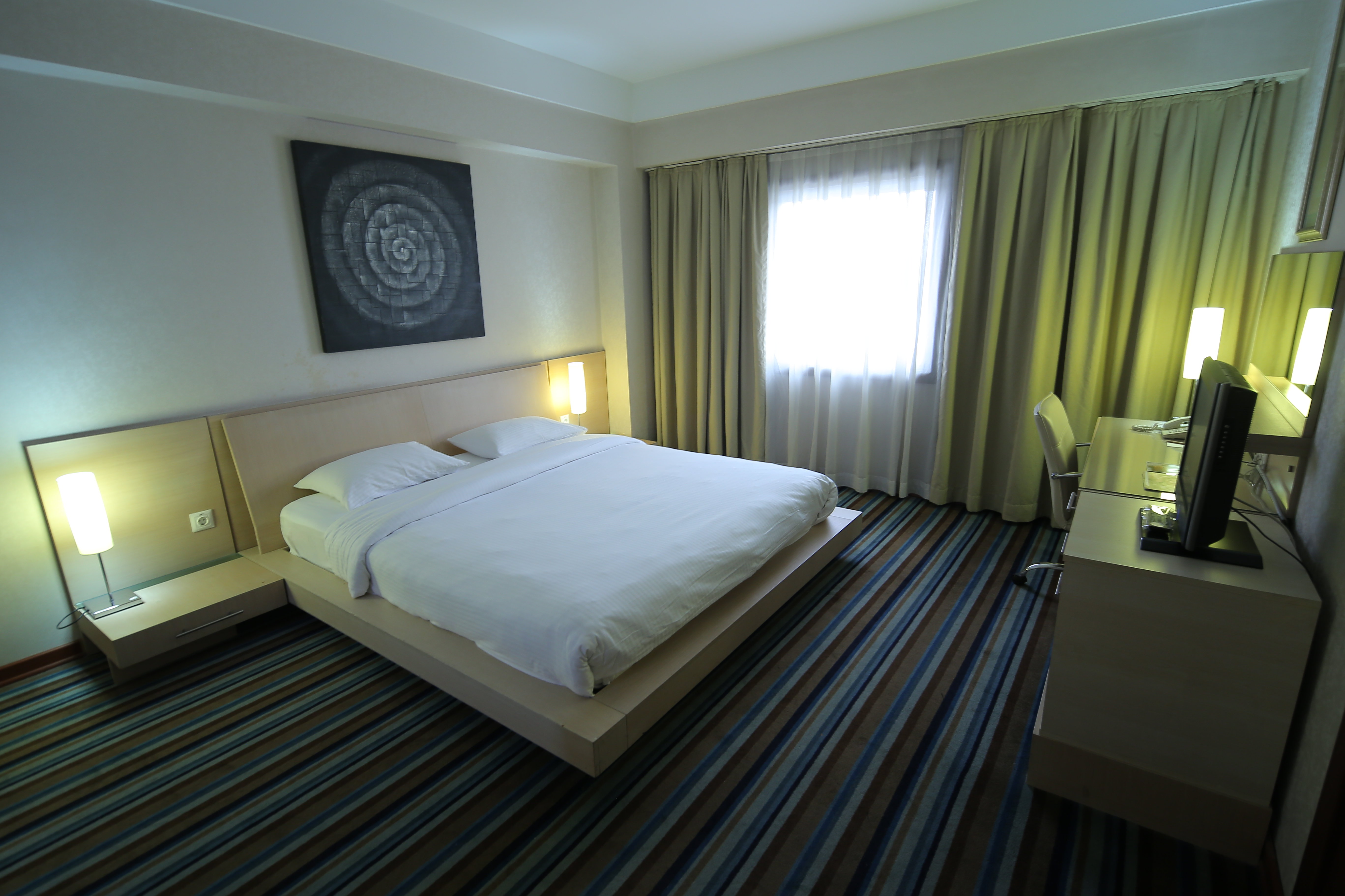 Hotel Anemon Eskisehir