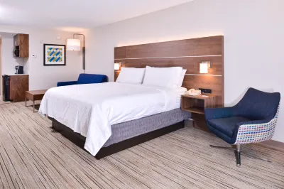 Holiday Inn Express & Suites Tampa-Anderson RD/Veterans Exp Hotels in Odessa