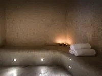 Hôtel Le Louis Versailles Château - MGallery - Spa