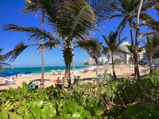 The Ivy Hotel San Juan Room Reviews Photos Condado 21 Deals Price Trip Com The Ivy Hotel San Juan Room Reviews Photos Condado 21 Deals Price Trip Com
