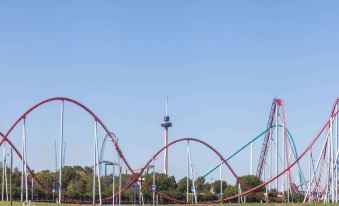 Super 8 by Wyndham Charlotte/Amusement Park Area