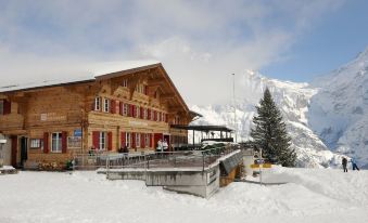 Alpinhotel Bort