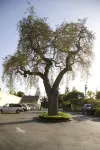 The Cottages Hotel Hôtels à : North Fair Oaks