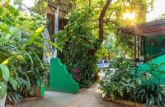 Victoria Falls Backpackers Zambia Hotel a 