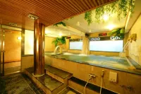 Baron's Hot-Spring Hotel