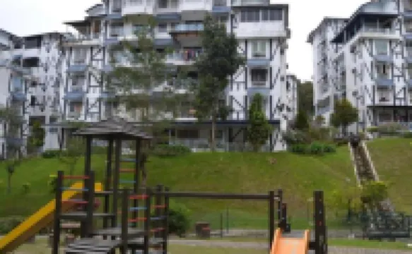 雛菊@德薩紅掌花