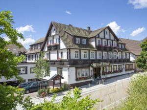 Goldener Hahn B&B Hotel garni / Nationalpark Schwarzwald