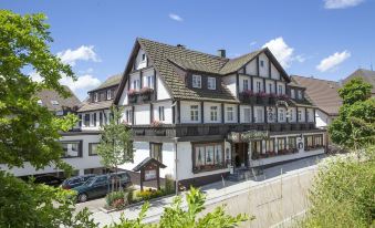 Hotel Hirsch