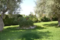B&B Due Fontane - Wifi