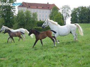 Ferienwohnungen Perhofer