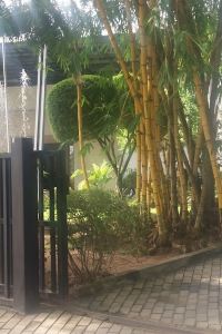 Hoteles En Kurunegala Esoft Metro Campus Kurunegala Desde Eur Trip Com Hoteles En Kurunegala Esoft Metro Campus Kurunegala Desde Eur Trip Com
